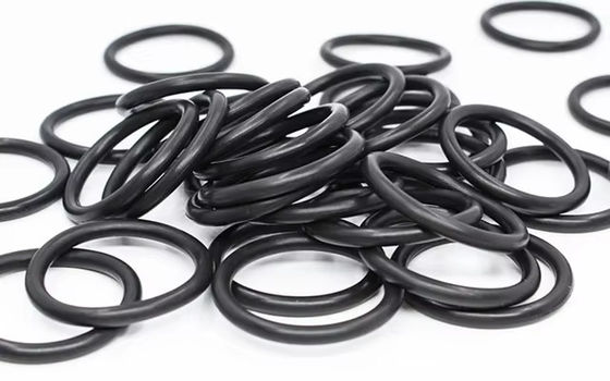 1006324 Vỏ O-Ring keo Fluorine đen 12x1 MM FPM75 cho súng phun GA03