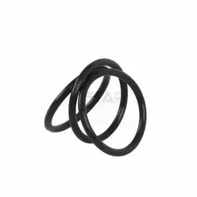 1095885 Đánh bóng Tribo Encore Gen II Bơm phủ bột O Rings Hỗ trợ OEM tùy chỉnh
