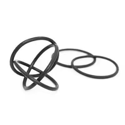 1095885 Đánh bóng Tribo Encore Gen II Bơm phủ bột O Rings Hỗ trợ OEM tùy chỉnh