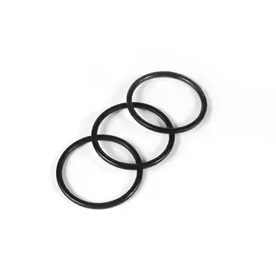 1095885 Đánh bóng Tribo Encore Gen II Bơm phủ bột O Rings Hỗ trợ OEM tùy chỉnh